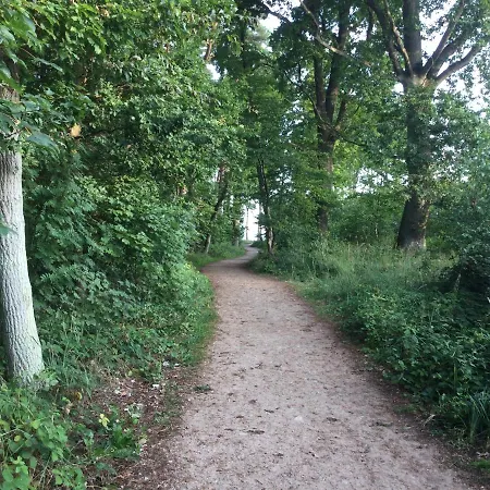 アパート Schoene Mit Kamin