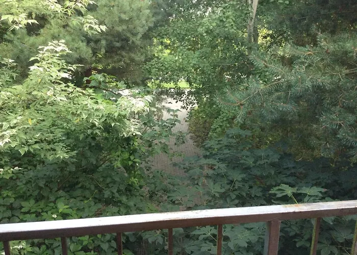 Schoene Mit Kamin Апартаменты Нехоже