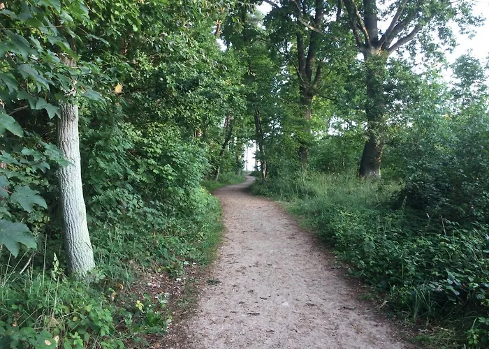 Апартаменты Schoene Mit Kamin